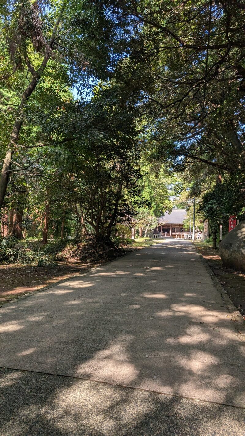 参道の木漏れ日