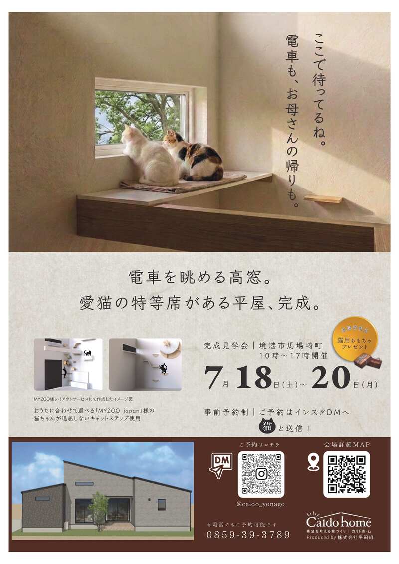 チラシ