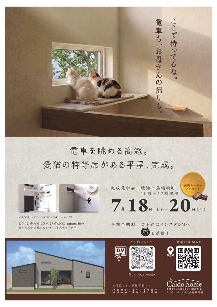 チラシ